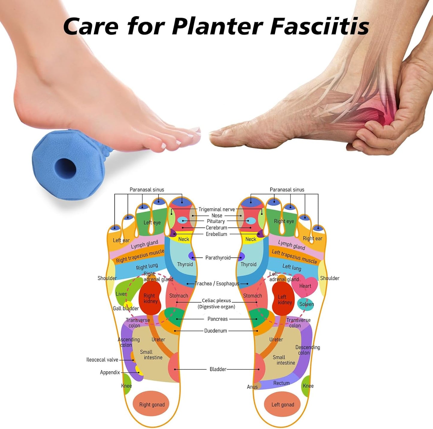 Blue Foot Massager Roller for Plantar Fasciitis, Arch Heel Pain Relief | Deep Tissue Massage for Feet, Calf, Arch and Heel Pain. for Plantar Fasciitis Relief, Home, Office and Travel Use